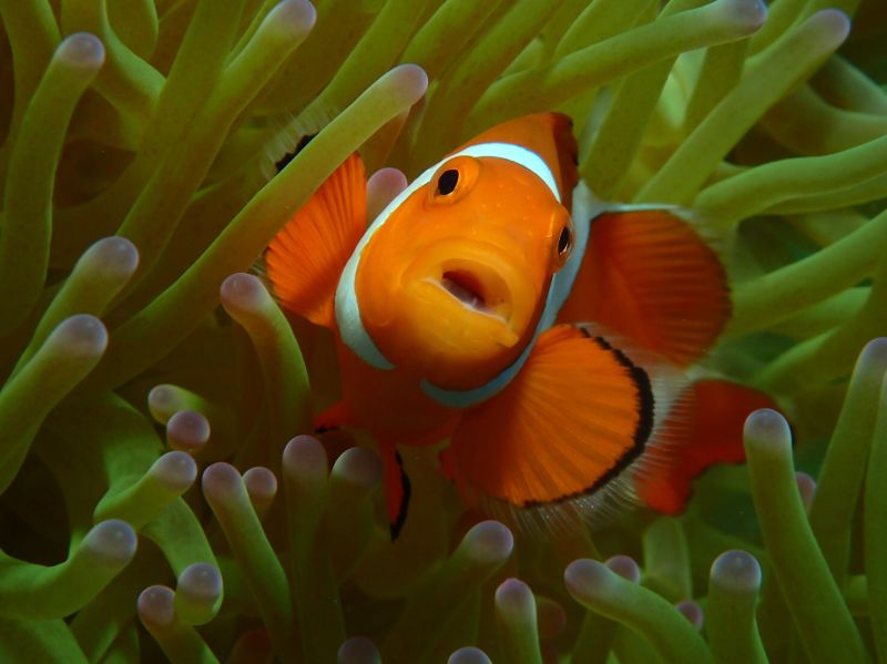 おきなわトロピコ TROPICOの最新写真