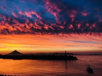 海の学校ダイビングリバティの最新写真