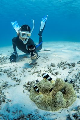 ダイビングスクールあつまるの最新写真