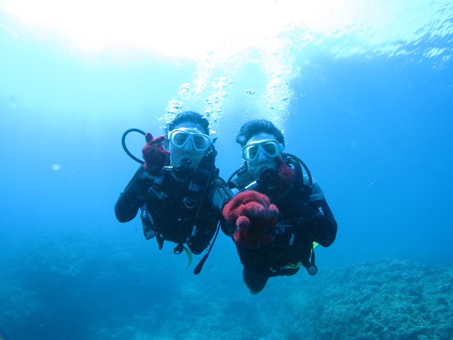 ＴＡＫＥＤＩＶＥ