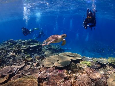 NABE′s DIVE ナベズダイブの最新写真