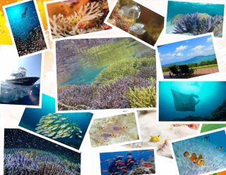 ダイビングショップ 海のメロディー IN北部の最新写真