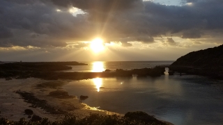 ＤＩＶＥ宮古島の最新写真