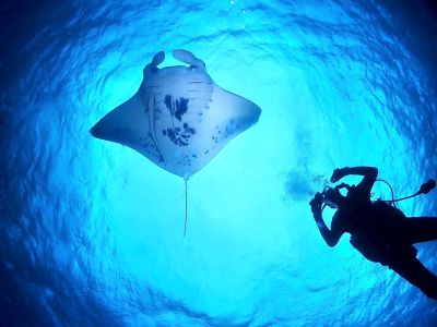 HANON Diving Service