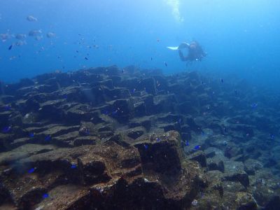 妻良DIVINGの最新写真