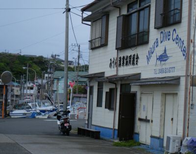 MIURA DIVE CENTERの最新写真