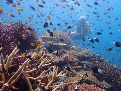ヒートハートクラブ石垣島の最新画像