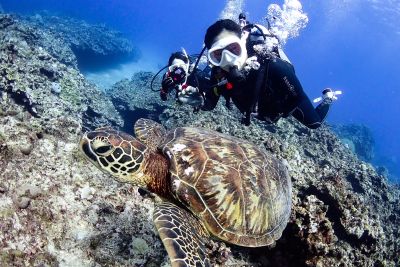 アクアコネクションズの最新写真