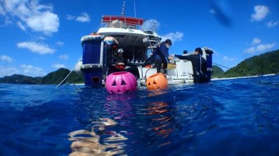 ディーズパルス沖縄の最新写真