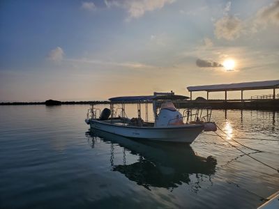 黒島ダイビングサービス ひでｓｕｎの最新写真