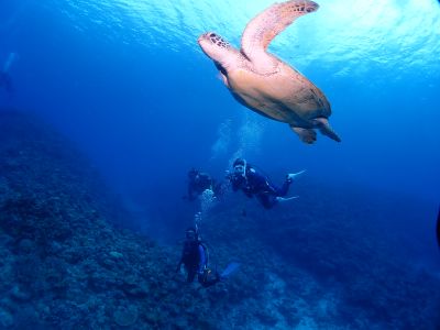 沖縄那覇 バグース Bagusの最新写真