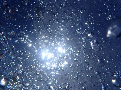 ヌヌ・アドベンチャー・クラブ石垣島の最新写真