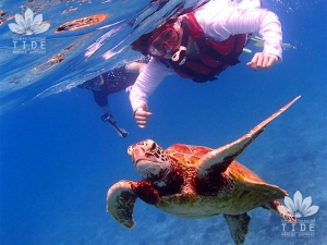 マリンサポートタイド・宮古の最新写真