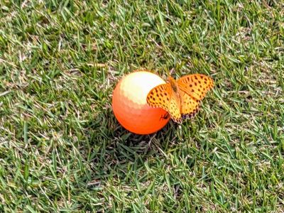 南栃木ゴルフ倶楽部の最新写真