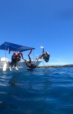 MARUDAI マルダイの最新写真