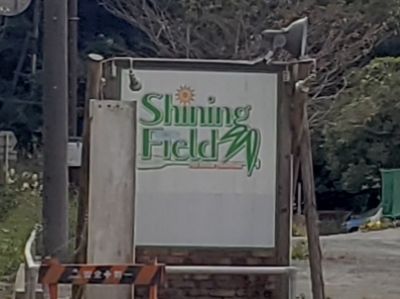 シャイニングフィールドの最新写真