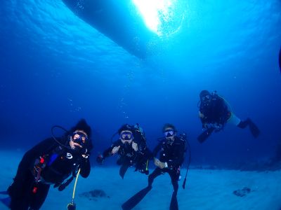 沖縄那覇 バグース Bagusの最新写真