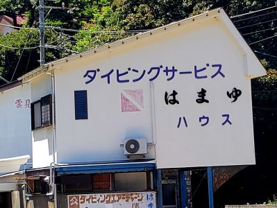 雲見ダイビングサービスはまゆの最新写真