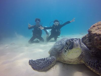 ハウオリ・オーシャン・スタイル Hau'oli Ocean Styleの最新写真