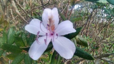 SENSE OF WONDERの最新写真