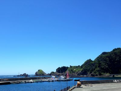 中木マリンセンターの最新写真