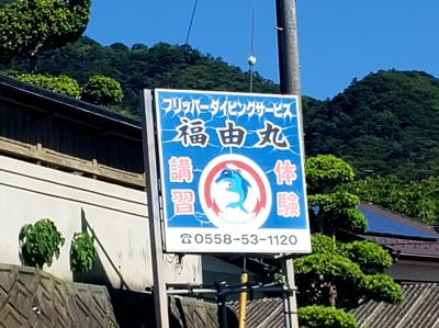 フリッパーダイビングサービス福由丸の最新写真