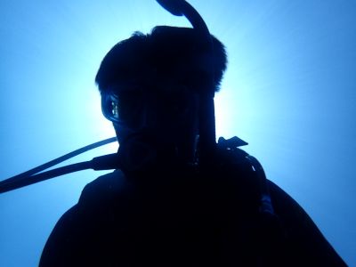 黒潮潜水の最新写真