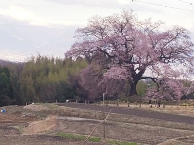 武田乃郷　白山温泉の割引プラン