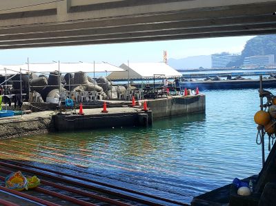 熱海マリンスポーツクラブの最新写真