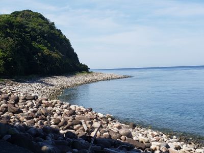 ダイブハウスオスパーの最新写真