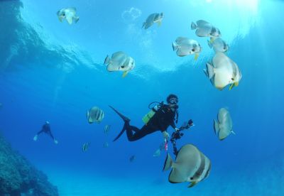 スマイルバング石垣島の最新写真