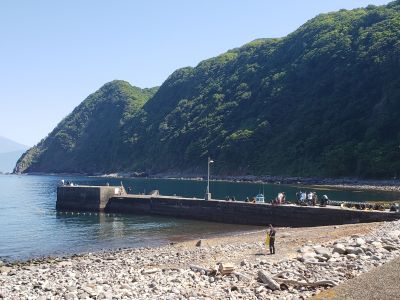 ロハススタジオ  ハワイ館の最新写真