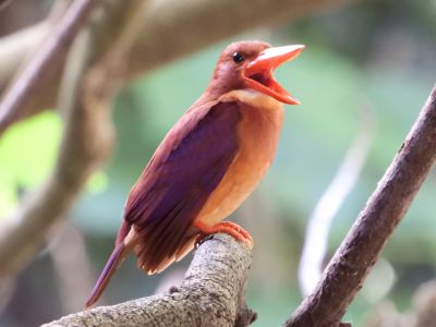 SENSE OF WONDERの最新写真