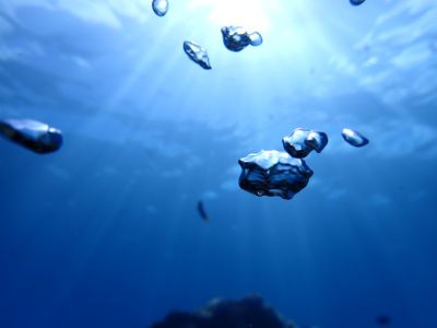 ヒートハートクラブ石垣島の最新写真