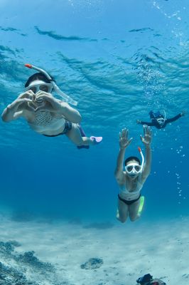 ダイビングスクールあつまるの最新写真