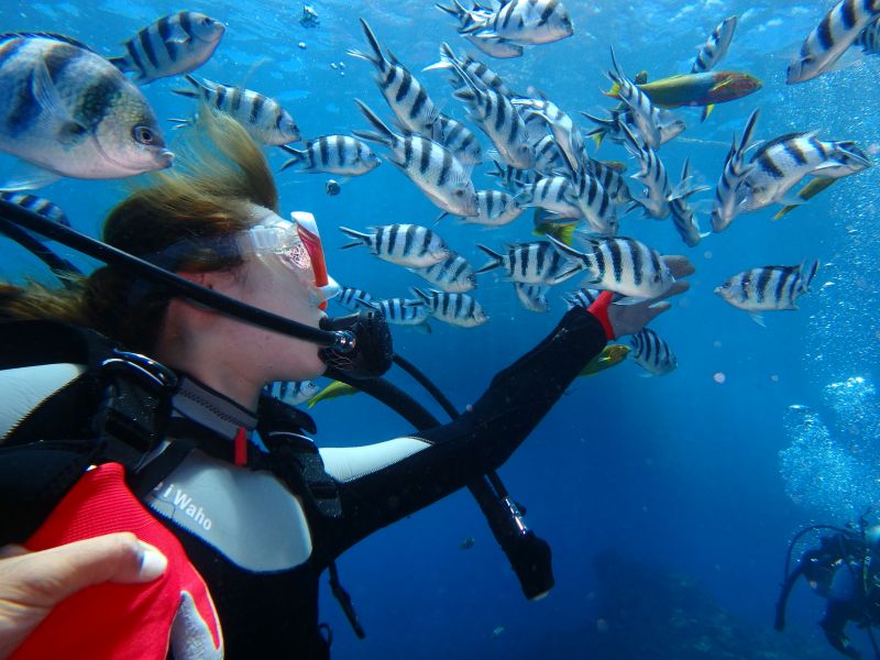 カイザーマリンクラブの最新写真