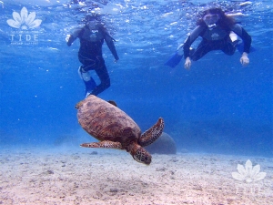 マリンサポートタイド・宮古の最新写真
