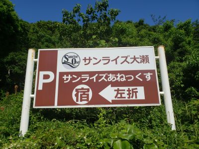 サンライズ大瀬マリンサービスの最新写真