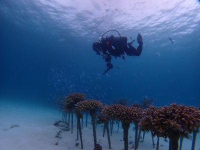 ヌヌ・アドベンチャー・クラブ石垣島の最新画像