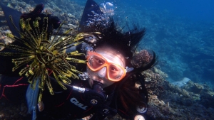 ダイビングショップ 海のメロディー IN北部の最新写真