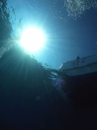 リフィーダイビングクラブの最新写真