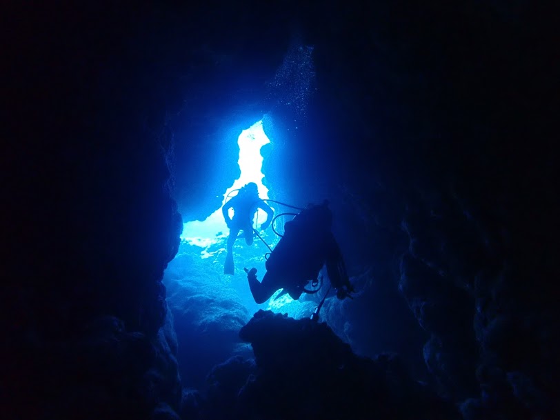 糸満ダイビングサービスの最新写真