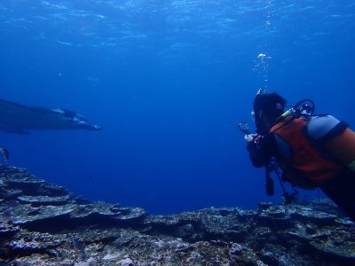 ヌヌ・アドベンチャー・クラブ石垣島の最新写真