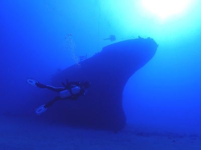 ホロホロオーシャンダイバーズの最新写真