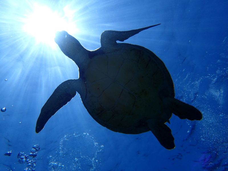 カイザーマリンクラブの最新写真