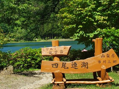 native sup ネイティヴサップの最新写真