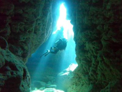 リトリートダイブの最新写真