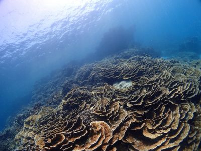 S2CLUB石垣島の最新写真