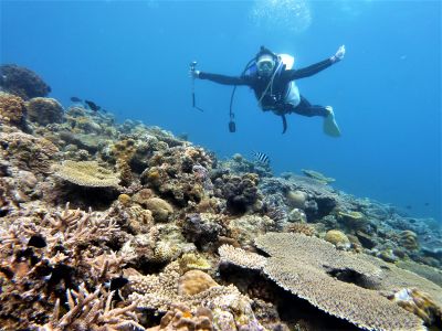 海の遊び処 なかゆくいの最新写真