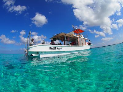 ダイビングステーションKANCHIの最新写真